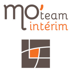 Team Moteam interim